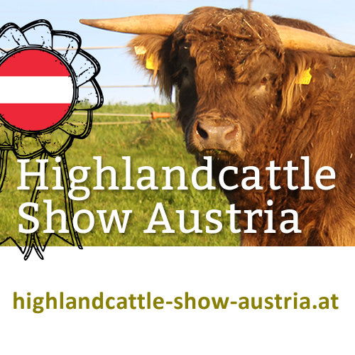 (c) Highlandcattle-show-austria.at
